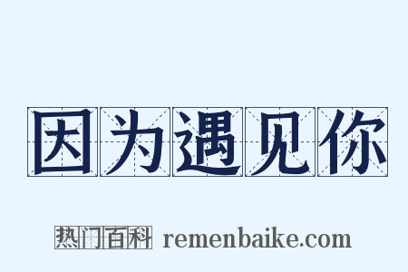因为遇见你是什么意思的图片